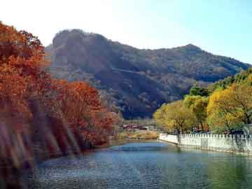 管家婆黑白马报图库，生铁屑压块机